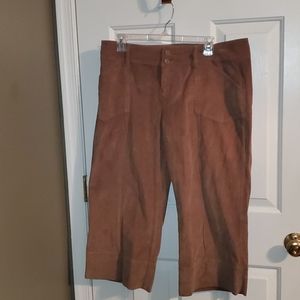 Ana Size 14P Corduroy Cropped Straight leg dress Capris.